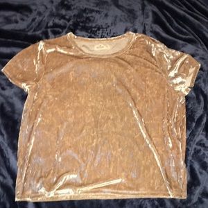 Golden velvet top